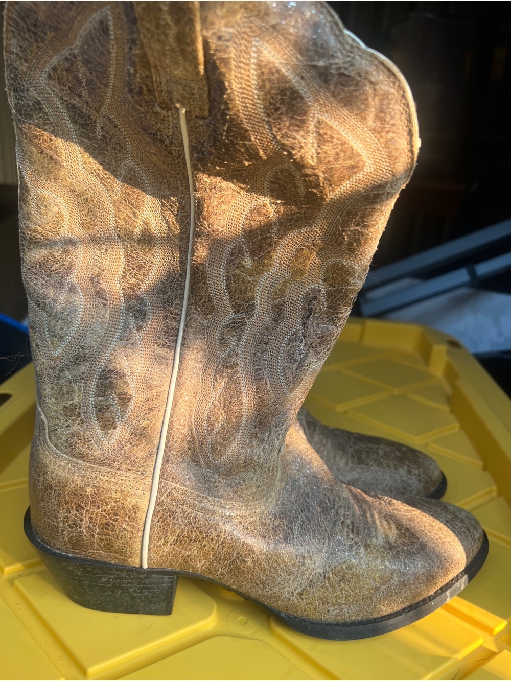 Ariat gold Boots woman size 9b